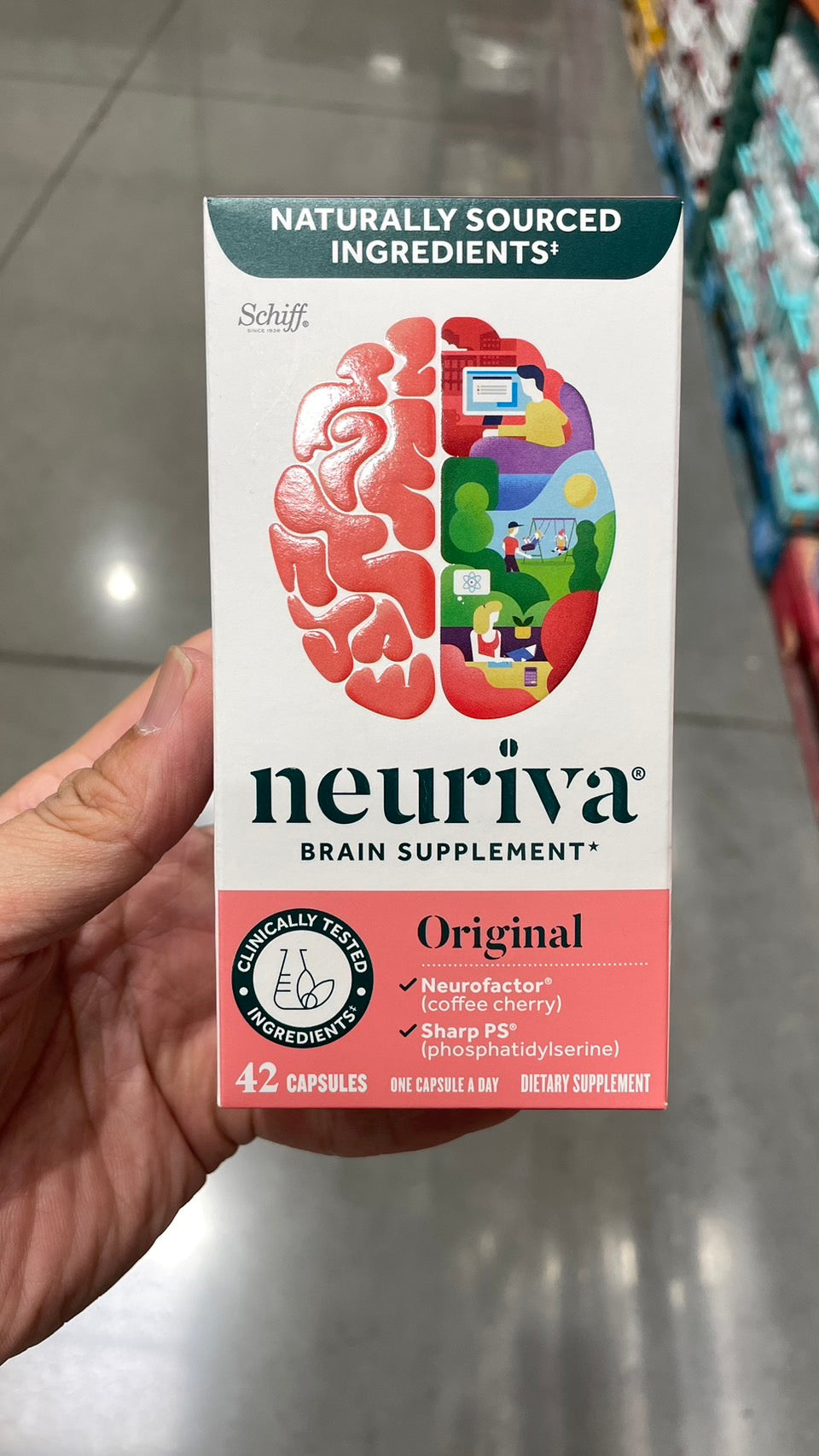 Neuriva Brain Supplement Original, 42 Capsules 【schiff專賣】美國原裝 Neuriva 益思維 膠囊 Original 腦動力